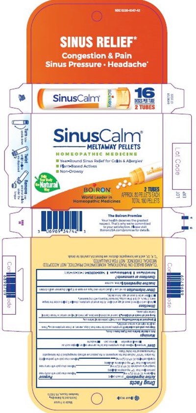 Sinuscalm Pellets 2 Tubes 6896709 07.2020